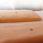 Hotel Royal 2*